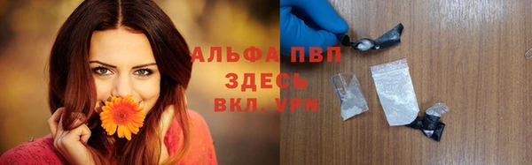 ешки Богданович