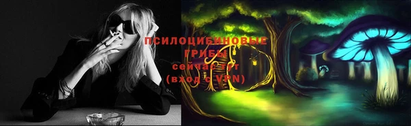 ПСИЛОЦИБИНОВЫЕ ГРИБЫ Богородицк